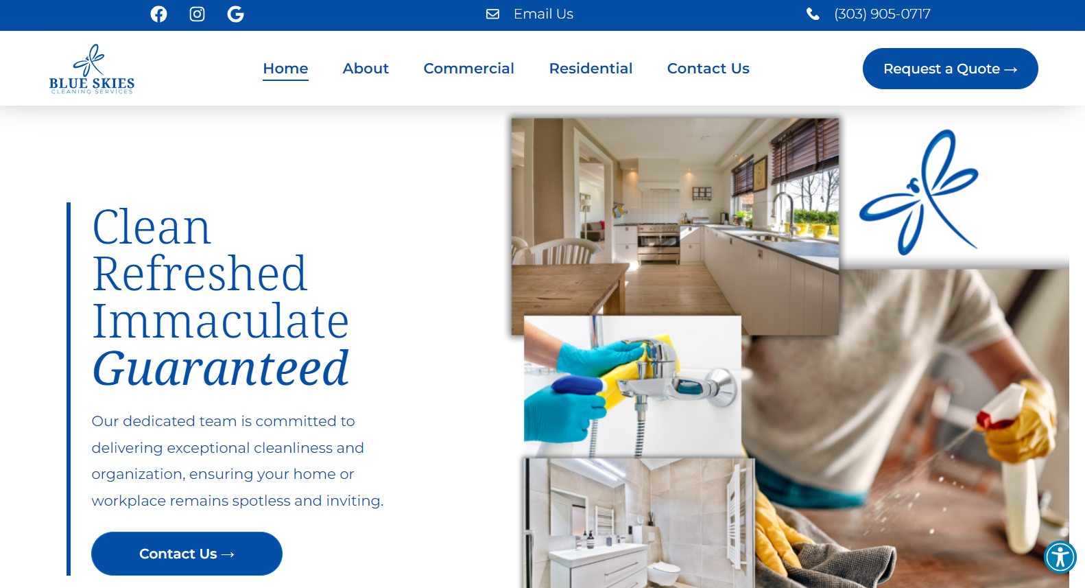 Blue Skies Cleaning Services